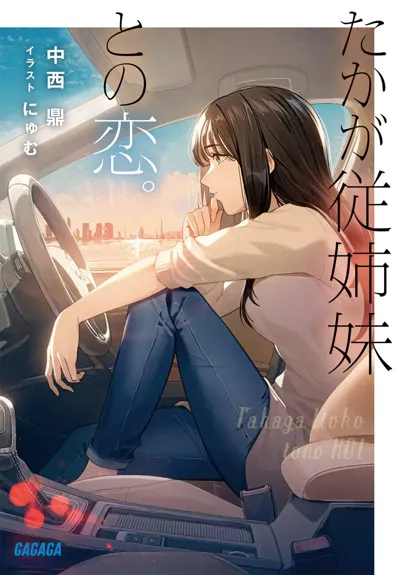 不过是和表姐妹的恋爱物语_封面